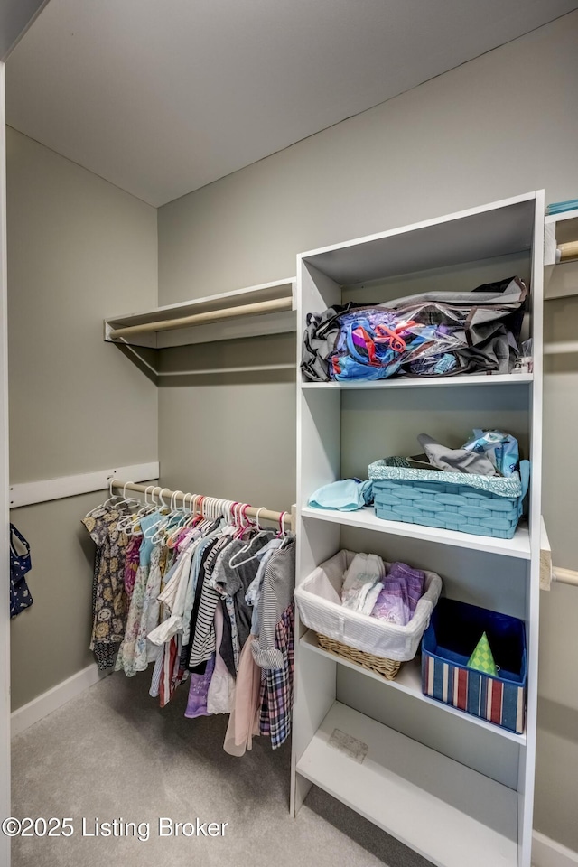 4605 Clarkhurst Cir, Smithfield, KY 40068 - spacious closet with carpet flooring