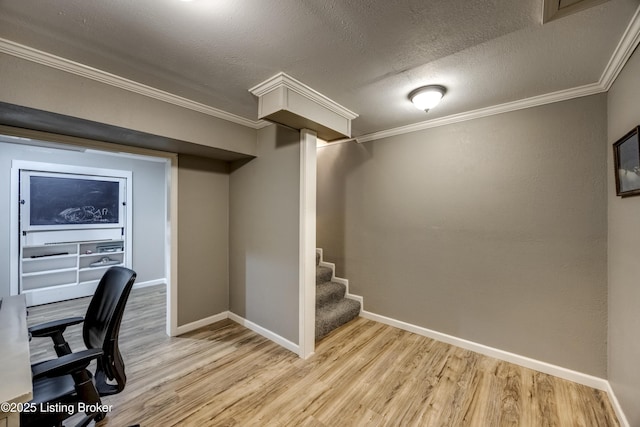 4605 Clarkhurst Cir, Smithfield, KY 40068 - unfurnished office with light wood-type flooring, baseboards, ornamental molding, and a textured ceiling