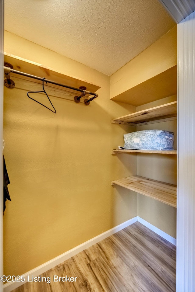 4605 Clarkhurst Cir, Smithfield, KY 40068 - spacious closet featuring wood finished floors