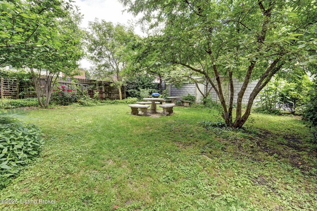 1479 S 4th St Unit 6A, Louisville, KY 40208 - photo 13