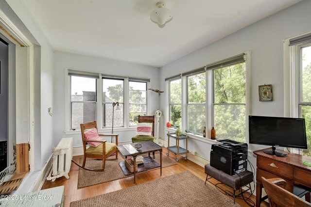 1479 S 4th St Unit 6A, Louisville, KY 40208 - photo 5