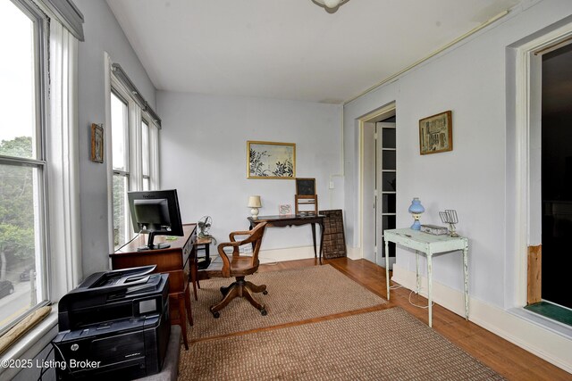 1479 S 4th St Unit 6A, Louisville, KY 40208 - photo 19