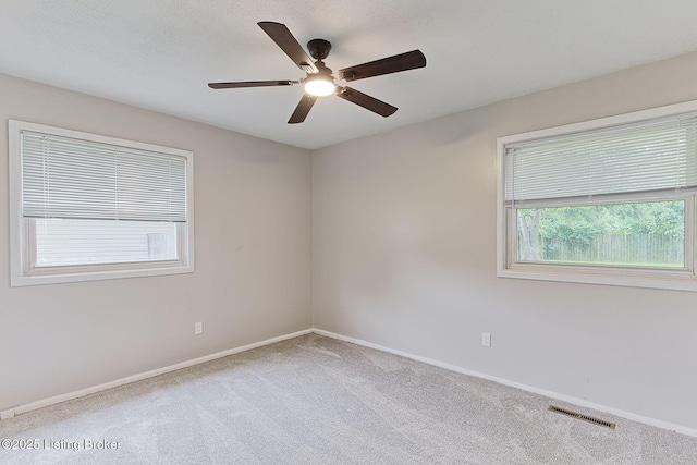 9313 Galene Dr, Louisville, KY 40299 - photo 17