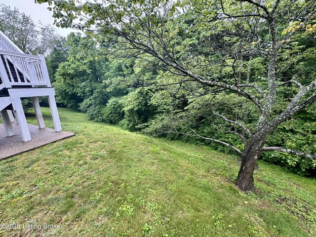 144 Woodhill Rd, Bardstown, KY 40004 - view of green lawn featuring a forest view