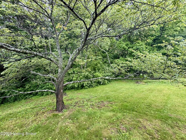 144 Woodhill Rd, Bardstown, KY 40004 - view of green lawn featuring a wooded view