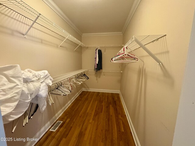 144 Woodhill Rd, Bardstown, KY 40004 - walk in closet with dark wood-style flooring