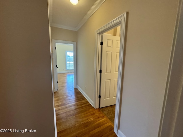 144 Woodhill Rd, Bardstown, KY 40004 - corridor with ornamental molding, dark wood finished floors, and baseboards