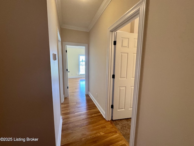 144 Woodhill Rd, Bardstown, KY 40004 - photo 36