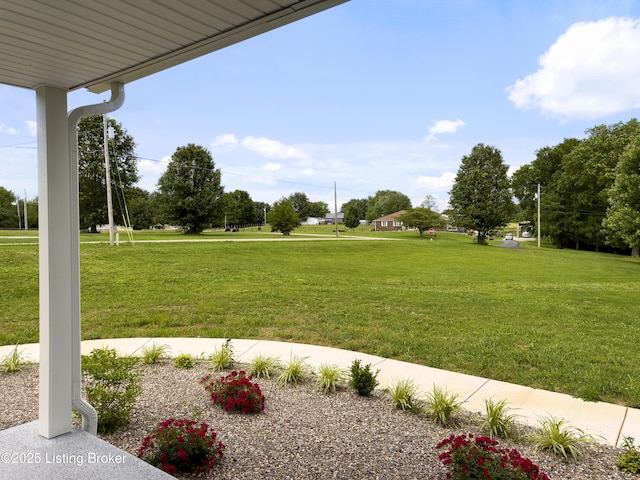 101 Harry Rucker Rd, Bardstown, KY 40004 - view of green lawn