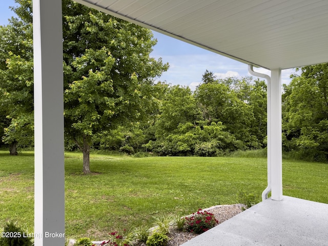 101 Harry Rucker Rd, Bardstown, KY 40004 - view of green lawn