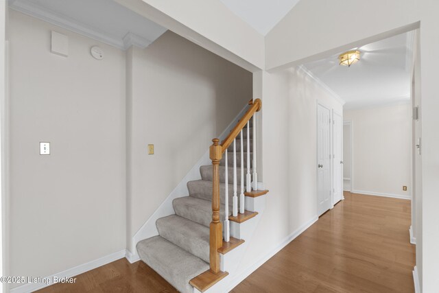 10106 Blossom Tree Way, Louisville, KY 40241 - stairway featuring wood finished floors, baseboards, and ornamental molding