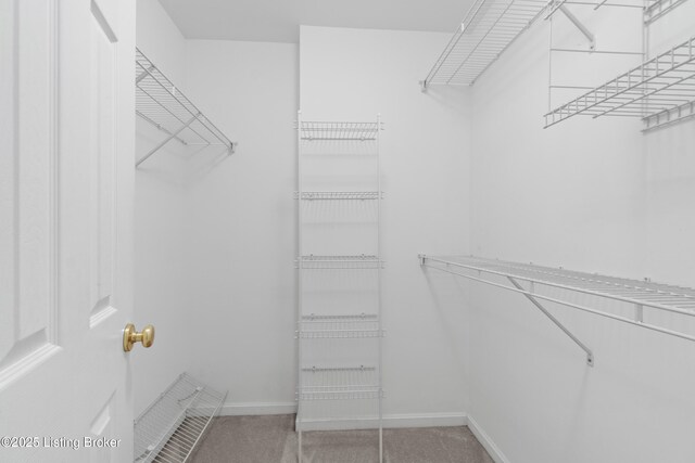 10106 Blossom Tree Way, Louisville, KY 40241 - walk in closet with carpet flooring