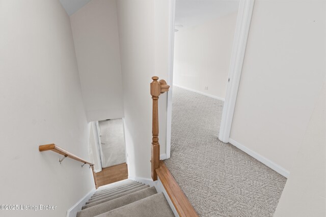 10106 Blossom Tree Way, Louisville, KY 40241 - staircase with carpet flooring and baseboards