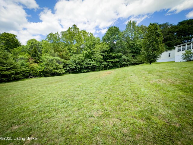 1073 Post-Tousey Rd Unit C, Caneyville, KY 42721 - view of green lawn