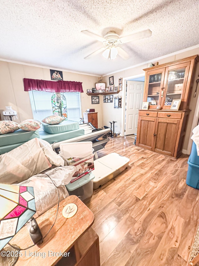 1073 Post-Tousey Rd Unit C, Caneyville, KY 42721 - living area with ceiling fan, a textured ceiling, ornamental molding, and light wood finished floors