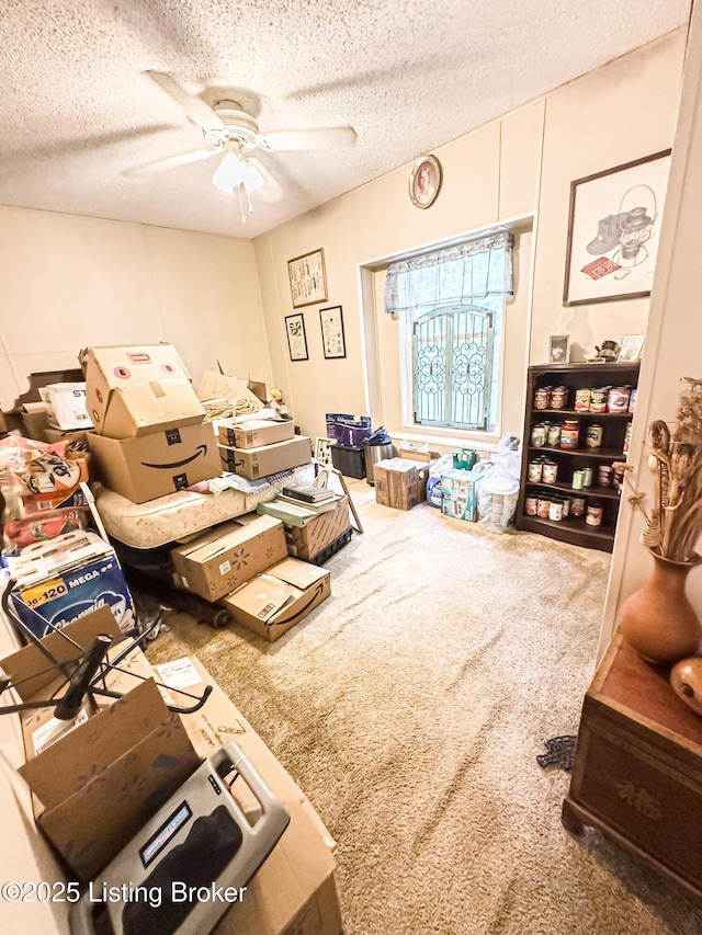 1073 Post-Tousey Rd Unit C, Caneyville, KY 42721 - living area with carpet floors, a ceiling fan, and a textured ceiling