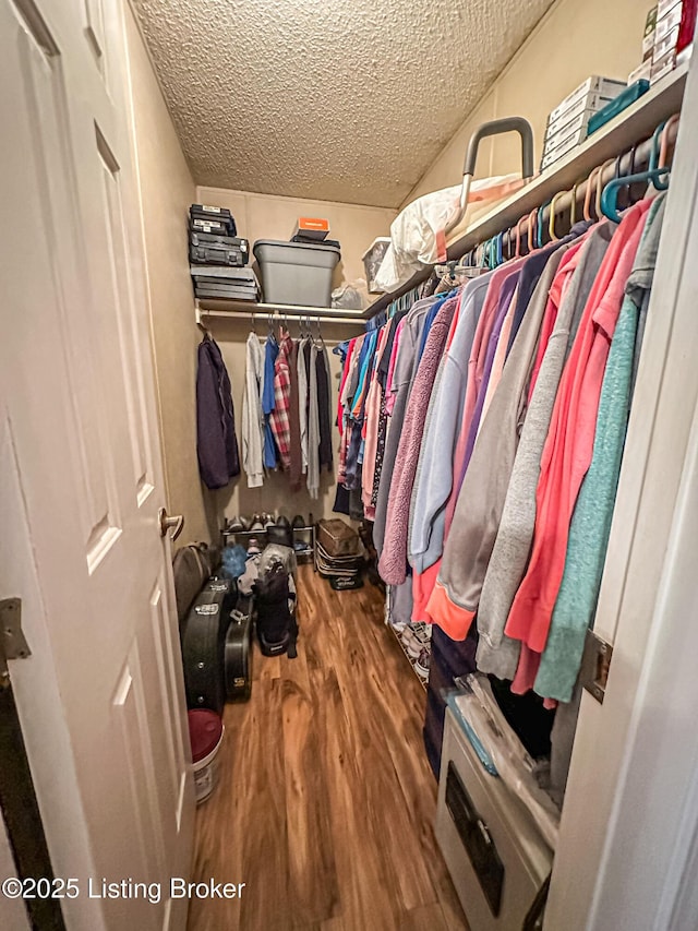 1073 Post-Tousey Rd Unit C, Caneyville, KY 42721 - spacious closet featuring wood finished floors
