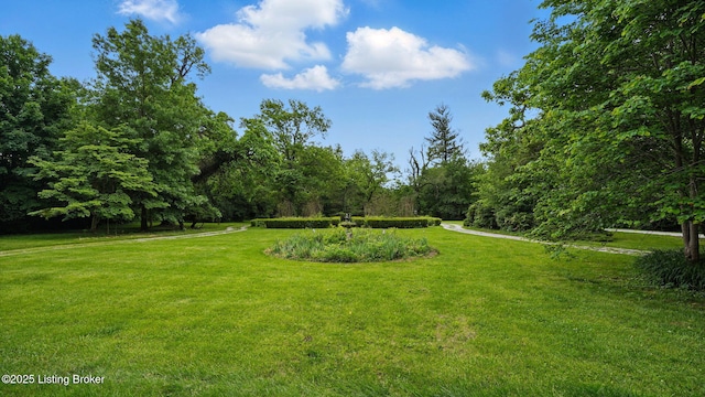 316 E Cross Main St, New Castle, KY 40050 - view of green lawn
