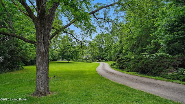 316 E Cross Main St, New Castle, KY 40050 - view of street