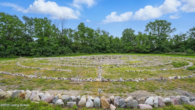 316 E Cross Main St, New Castle, KY 40050 - view of yard