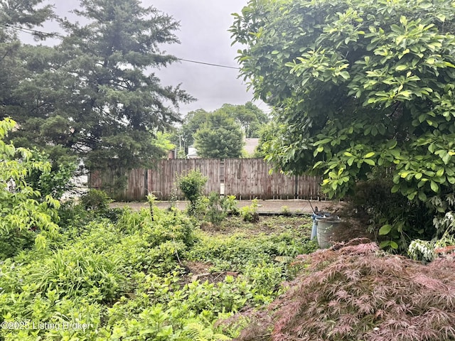 218 Locust St, Jeffersonville, IN 47130 - view of yard