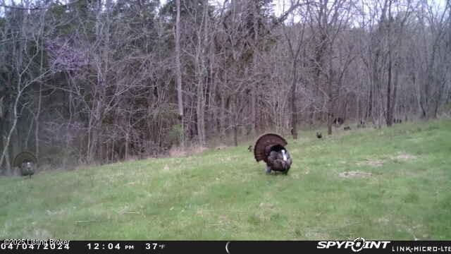 0 Bardstown Rd, Lawrenceburg, KY 40342