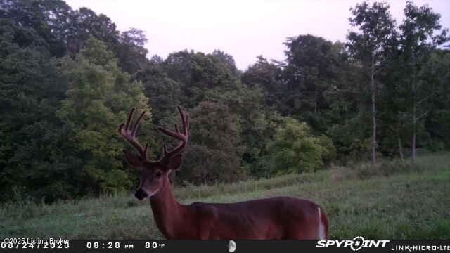 0 Bardstown Rd, Lawrenceburg, KY 40342