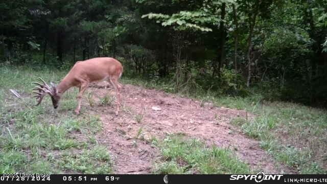 0 Bardstown Rd, Lawrenceburg, KY 40342