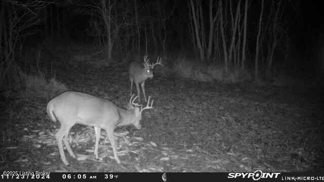 0 Bardstown Rd, Lawrenceburg, KY 40342