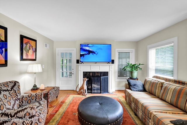 2501 Newburg Rd, Louisville, KY 40205 - living room featuring wood finished floors and a fireplace with flush hearth