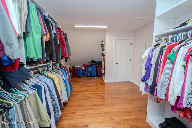 9200 Axminster Dr, Louisville, KY 40299 - walk in closet with attic access and light wood finished floors