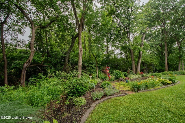 9200 Axminster Dr, Louisville, KY 40299 - view of yard