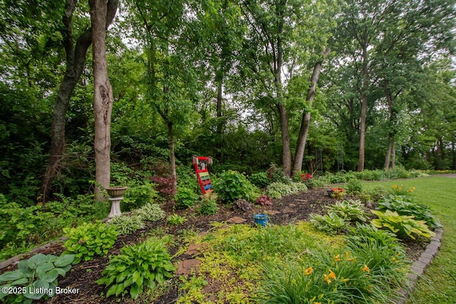 9200 Axminster Dr, Louisville, KY 40299 - view of yard