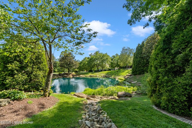 501 Wilmar Ct, La Grange, KY 40031 - photo 5