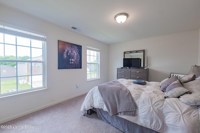 11905 Cascade Falls Trl, Louisville, KY 40229 - bedroom featuring carpet and baseboards