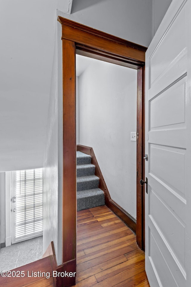 staircase featuring wood-type flooring