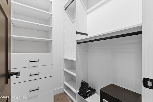 118 Stable Way, Jeffersonville, IN 47130 - walk in closet with carpet