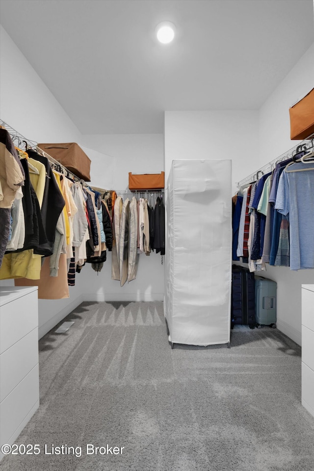 13005 Vista Dr, Prospect, KY 40059 - spacious closet featuring carpet