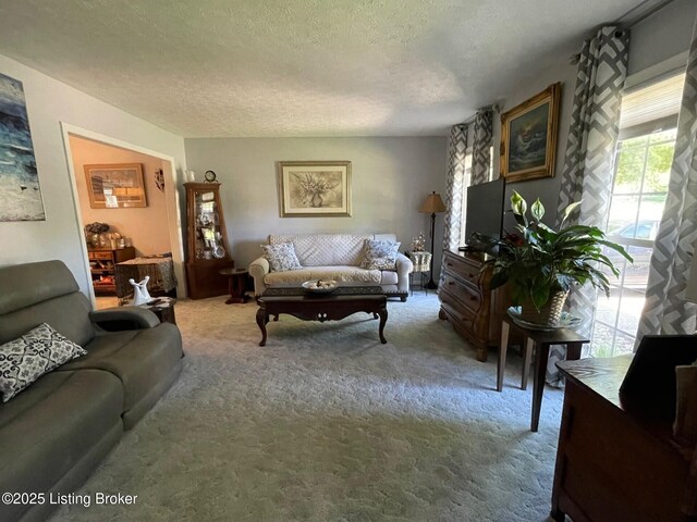 7102 Gorham Way, Louisville, KY 40291 - carpeted living area featuring plenty of natural light and a textured ceiling