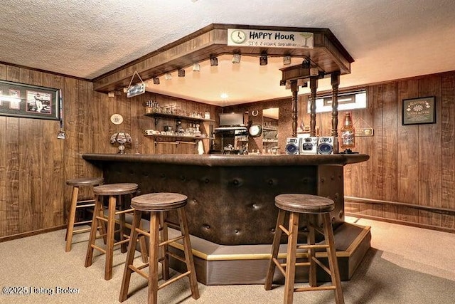 7102 Gorham Way, Louisville, KY 40291 - indoor dry bar featuring wooden walls, carpet, a textured ceiling, and baseboards