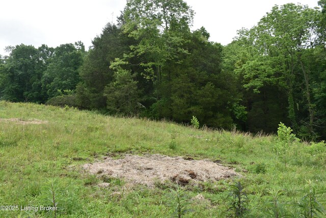0000 Bridgeport Rd, Edmonton, KY 42129 - photo 5