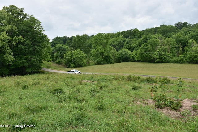 0000 Bridgeport Rd, Edmonton, KY 42129 - photo 1