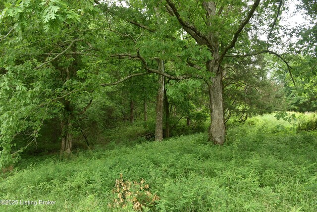0000 Bridgeport Rd, Edmonton, KY 42129 - photo 8
