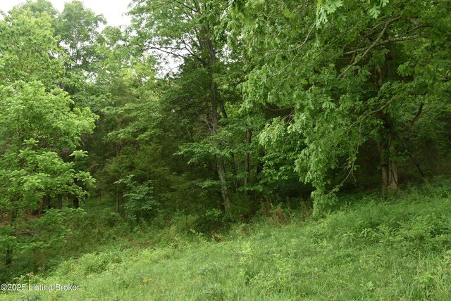 0000 Bridgeport Rd, Edmonton, KY 42129 - photo 9