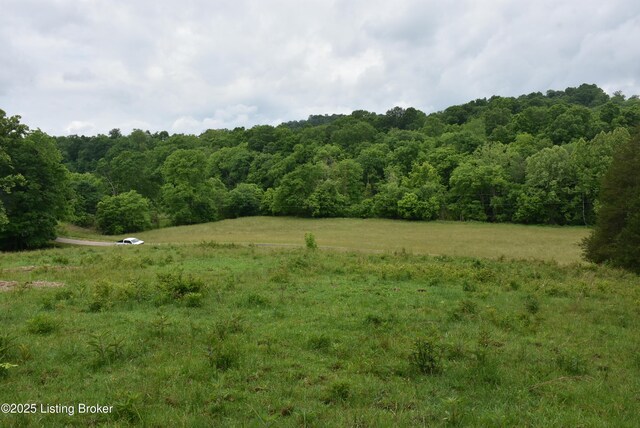 0000 Bridgeport Rd, Edmonton, KY 42129 - photo 10