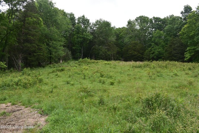 0000 Bridgeport Rd, Edmonton, KY 42129 - photo 11