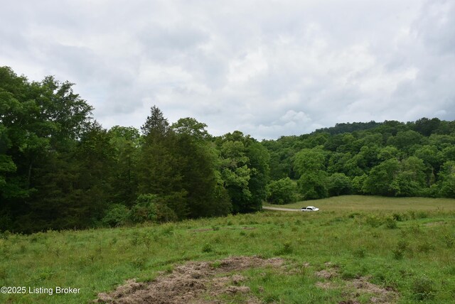 0000 Bridgeport Rd, Edmonton, KY 42129 - photo 2