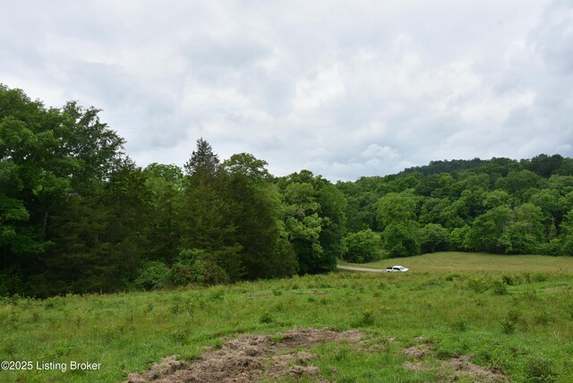 0000 Bridgeport Rd, Edmonton, KY 42129 - photo 12