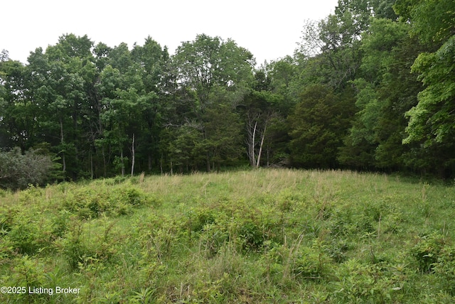 0000 Bridgeport Rd, Edmonton, KY 42129 - photo 13