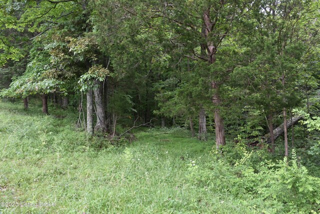 0000 Bridgeport Rd, Edmonton, KY 42129 - photo 14